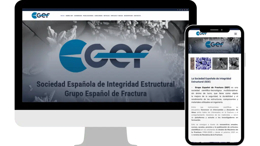 Diseño web GEF