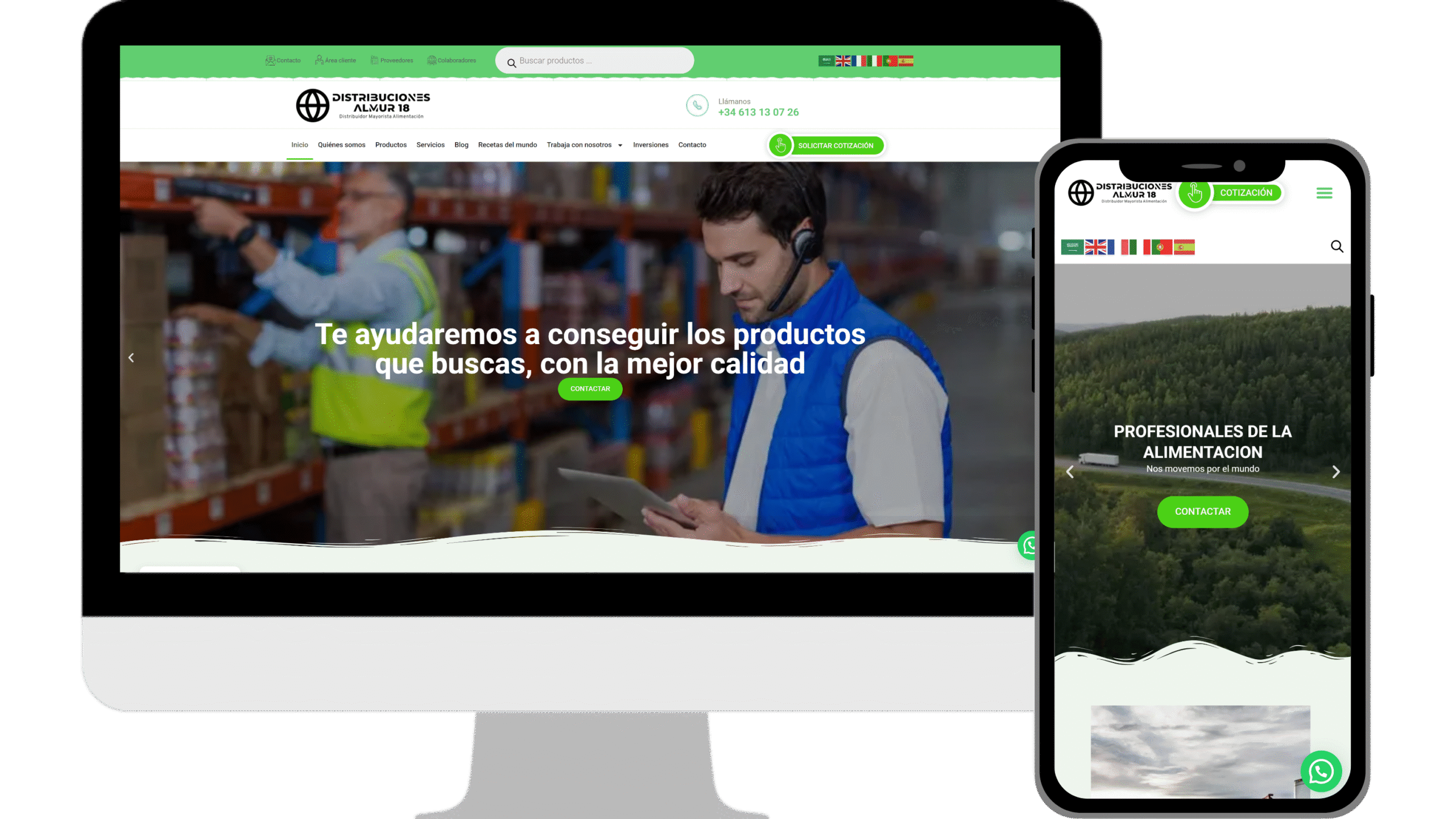 Diseño Web Distribuciones Almur 18