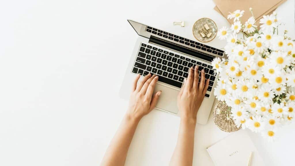 Wordpress granollers